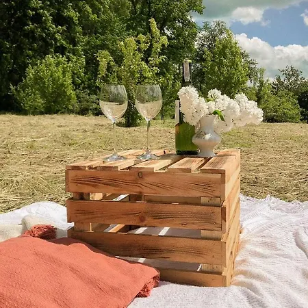 Palac Baloszyce מלון *